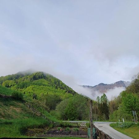 Wohnung Im Nationalpark Kalkalpen 3 Reichraming Dış mekan fotoğraf