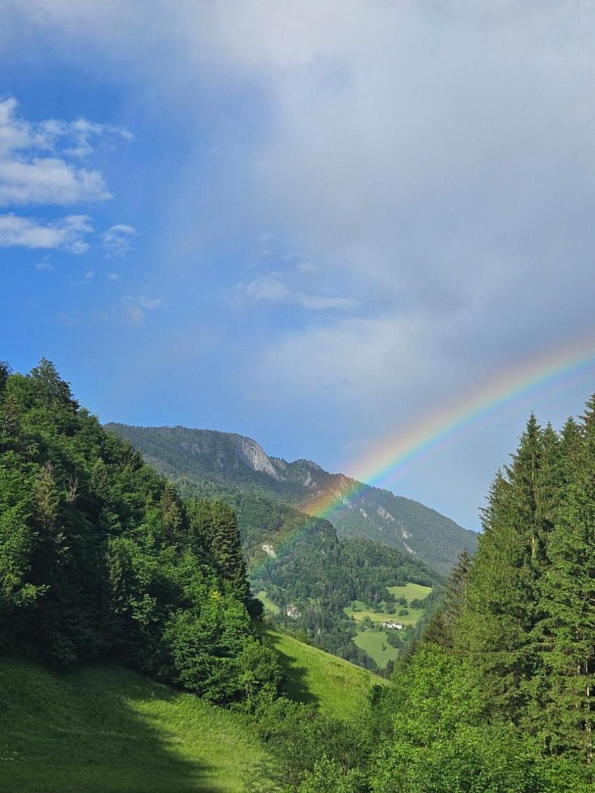 Wohnung Im Nationalpark Kalkalpen 3 Reichraming Dış mekan fotoğraf