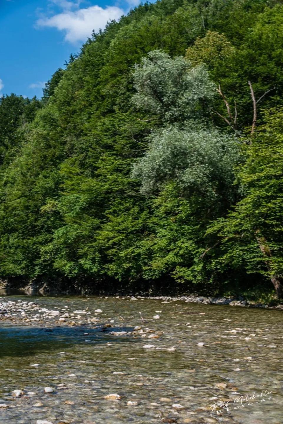 Wohnung Im Nationalpark Kalkalpen 3 Reichraming Dış mekan fotoğraf